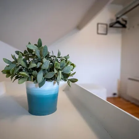 Apartment Central At Bertis Ap 2 Nice And Cozy Central 3 Bedrooms And Bigterrace