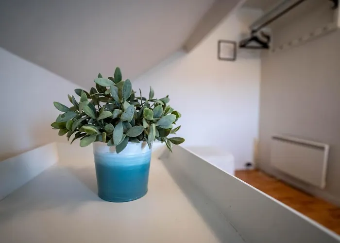 Apartment Central At Bertis Ap 2 Nice And Cozy Central 3 Bedrooms And Bigterrace